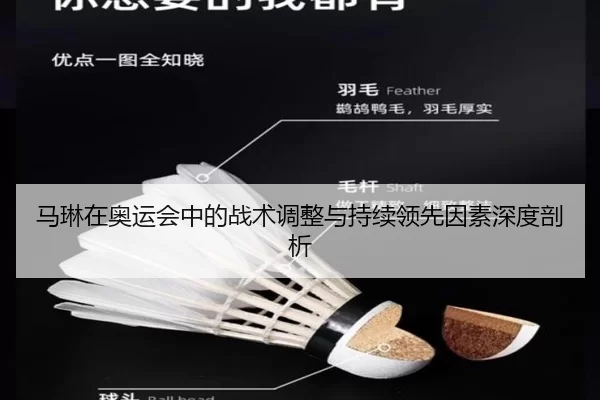 马琳在奥运会中的战术调整与持续领先因素深度剖析
