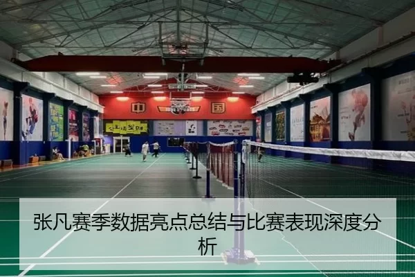 张凡赛季数据亮点总结与比赛表现深度分析